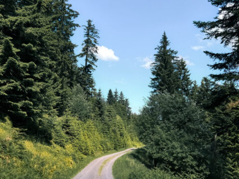 Kara Orman’da Köyler Otel Konseptine Geçiyor: Fırınlarda Kahvaltı Keyfi