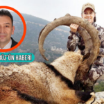 Haber gorseli
